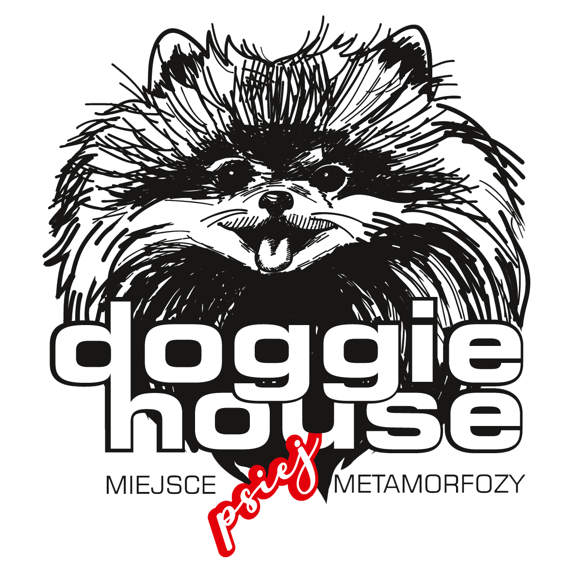 Logo salonu groomerskiego doggie house.