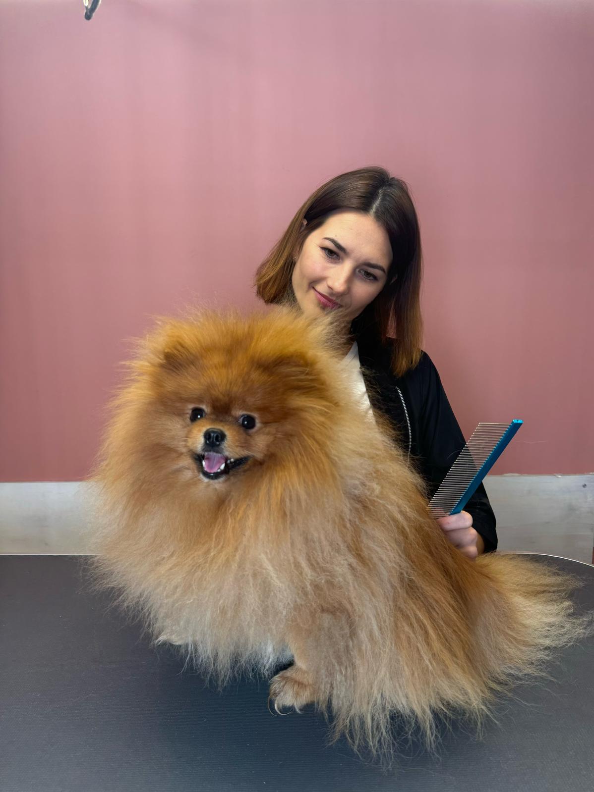 Uśmiechnięta kobieta trzymająca grzebień pozuje z puszystym pomeranianem o rudym umaszczeniu na stole groomerskim, na tle różowej ściany.