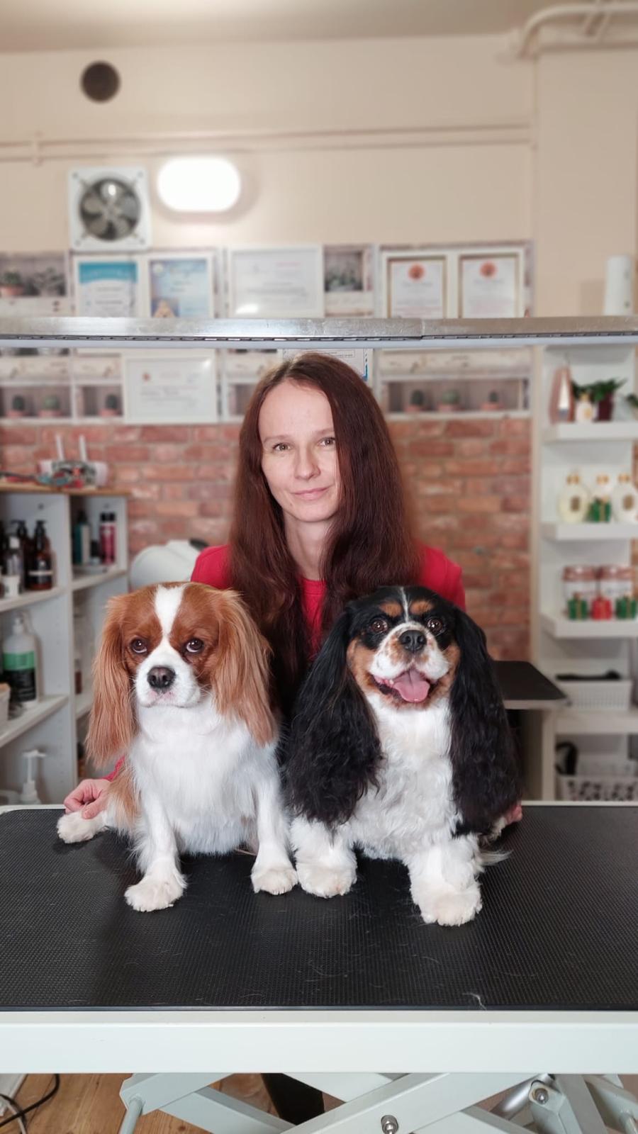 Groomerka pozuje za stołem groomerskim z dwoma psami rasy Cavalier King Charles Spaniel o różnych umaszczeniach w profesjonalnym salonie pielęgnacji psów.